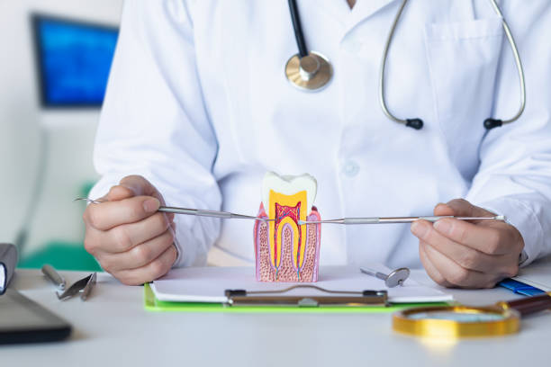 Best Emergency Tooth Extraction in Harrison, MI